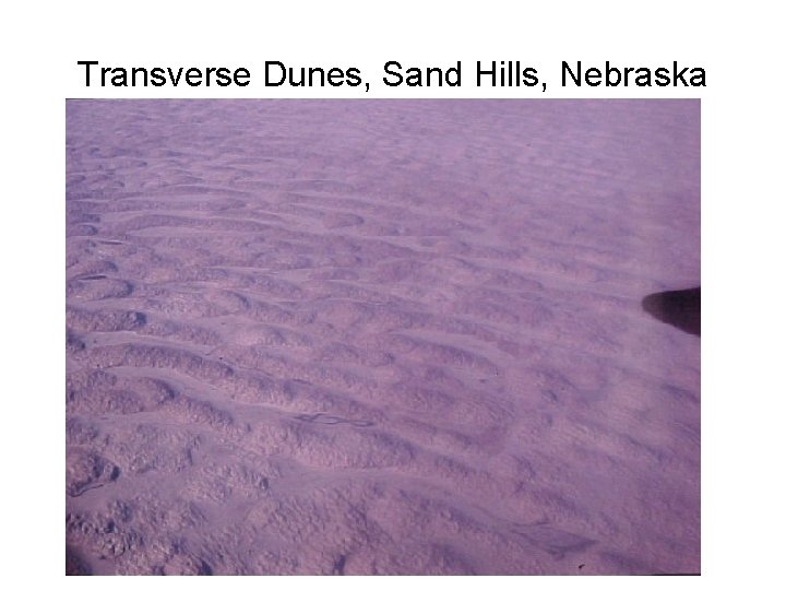 Transverse Dunes, Sand Hills, Nebraska 