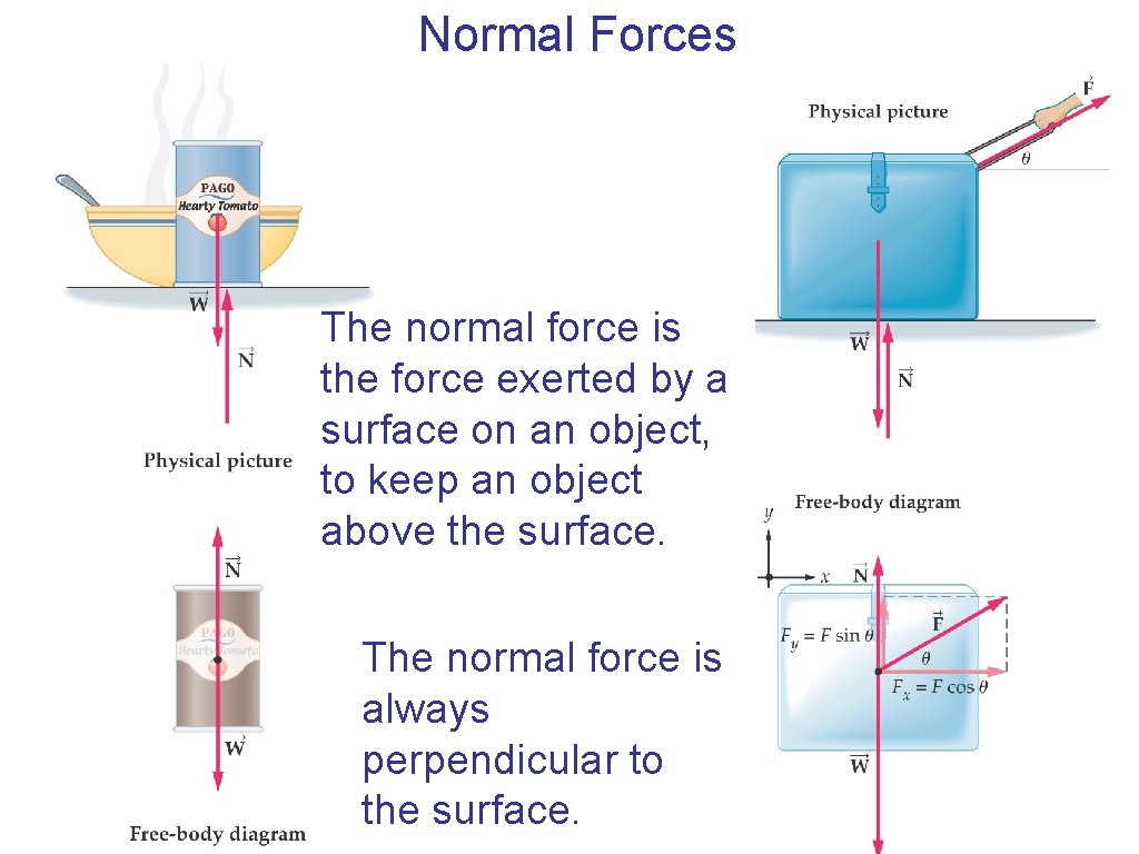 Normal Forces The normal force is the force exerted by a surface on an