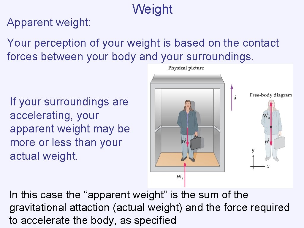 Apparent weight: Weight Your perception of your weight is based on the contact forces