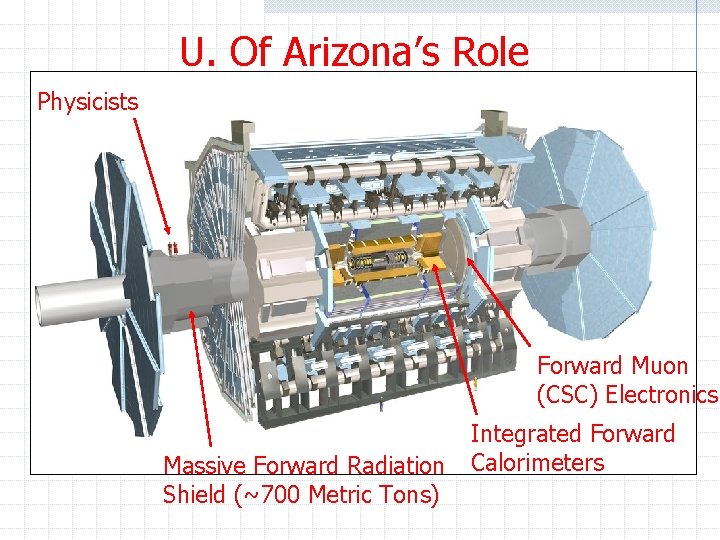 U. Of Arizona’s Role Physicists Forward Muon (CSC) Electronics Massive Forward Radiation Shield (~700