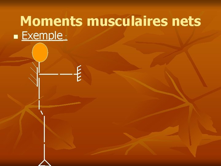 Moments musculaires nets n Exemple : 