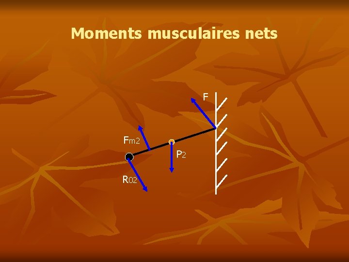 Moments musculaires nets F Fm 2 P 2 R 02 