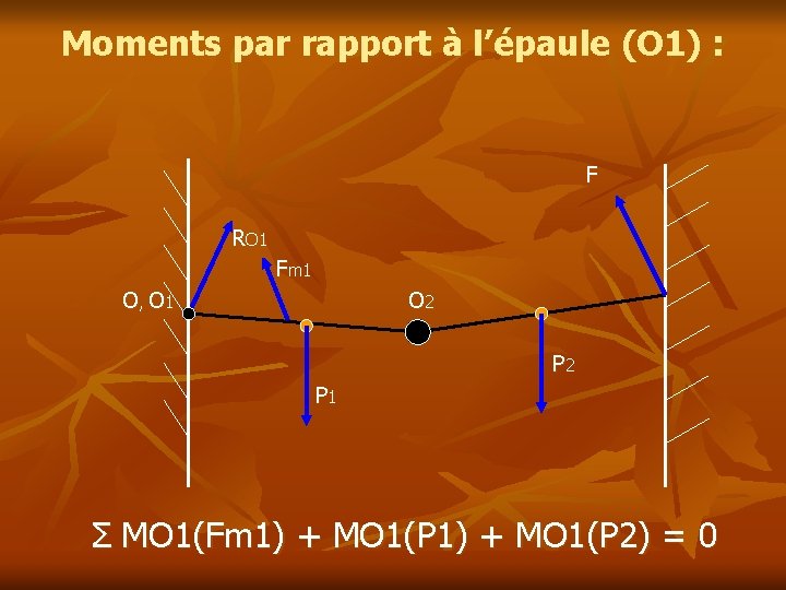 Moments par rapport à l’épaule (O 1) : F RO 1 Fm 1 O