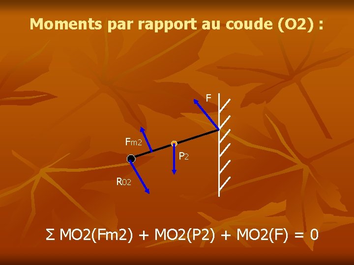 Moments par rapport au coude (O 2) : F Fm 2 P 2 R Moments par rapport au coude (O 2) : F Fm 2 P 2 R