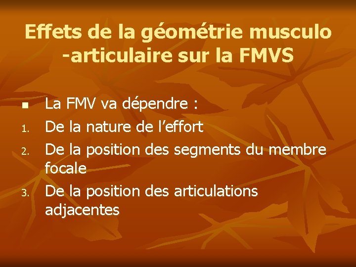 Effets de la géométrie musculo -articulaire sur la FMVS n 1. 2. 3. La