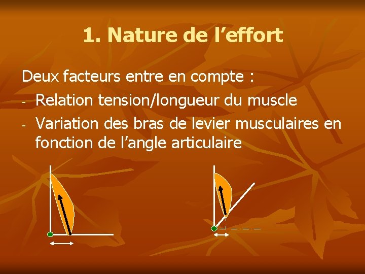 1. Nature de l’effort Deux facteurs entre en compte : - Relation tension/longueur du