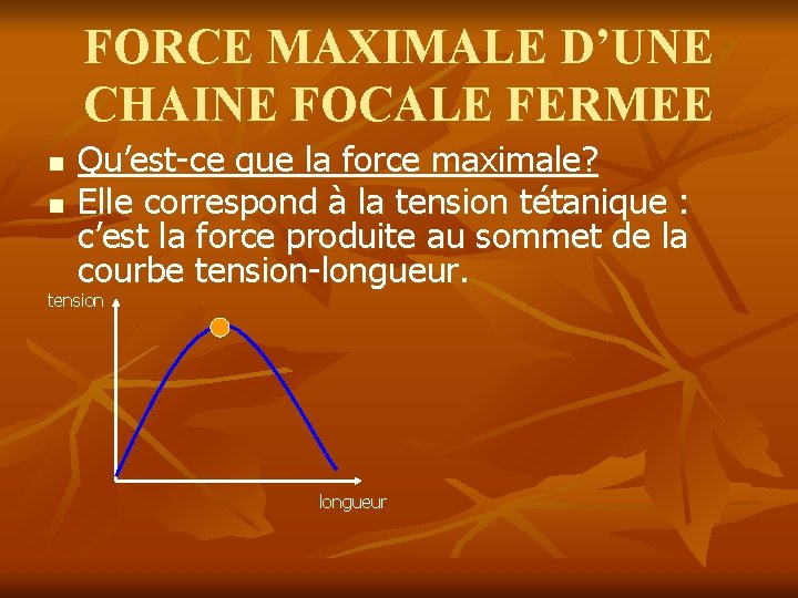 FORCE MAXIMALE D’UNE CHAINE FOCALE FERMEE n n Qu’est-ce que la force maximale? Elle