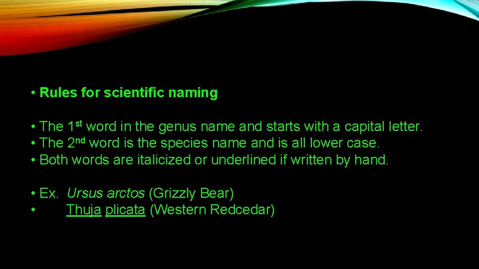  • Rules for scientific naming • The 1 st word in the genus