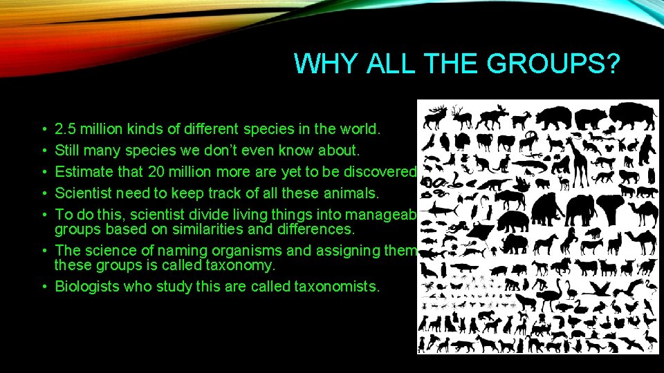 WHY ALL THE GROUPS? • • • 2. 5 million kinds of different species