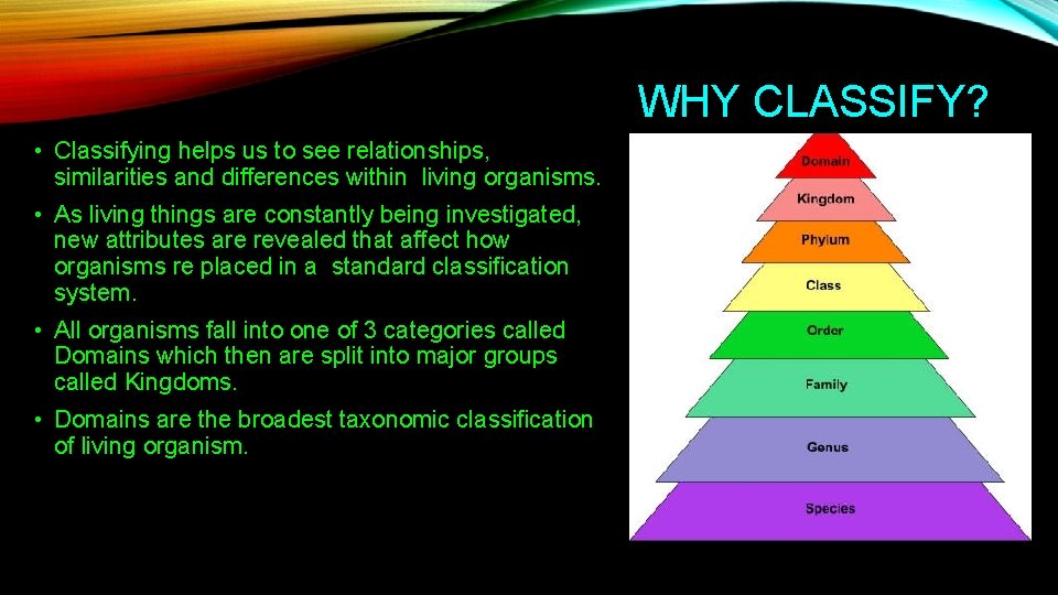 WHY CLASSIFY? • Classifying helps us to see relationships, similarities and differences within living
