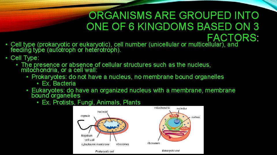 ORGANISMS ARE GROUPED INTO ONE OF 6 KINGDOMS BASED ON 3 FACTORS: • Cell