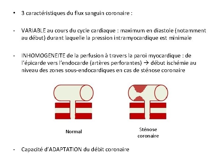  • 3 caractéristiques du flux sanguin coronaire : - VARIABLE au cours du