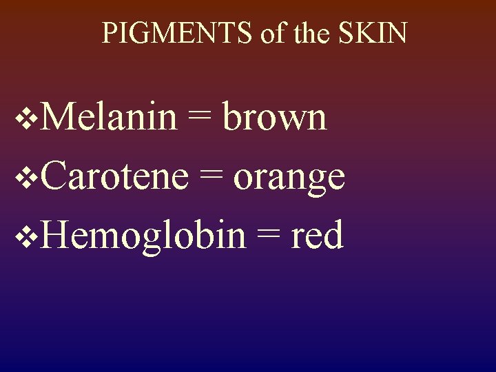 PIGMENTS of the SKIN v. Melanin = brown v. Carotene = orange v. Hemoglobin