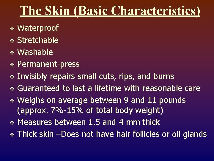 The Skin (Basic Characteristics) Waterproof v Stretchable v Washable v Permanent-press v Invisibly repairs