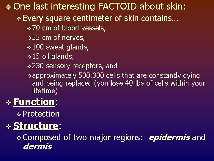 v One last interesting FACTOID about skin: v Every square centimeter of skin contains…