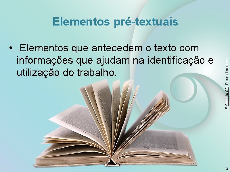  • Elementos que antecedem o texto com informações que ajudam na identificação e