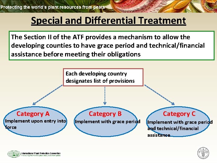 Special and Differential Treatment The Section II of the ATF provides a mechanism to