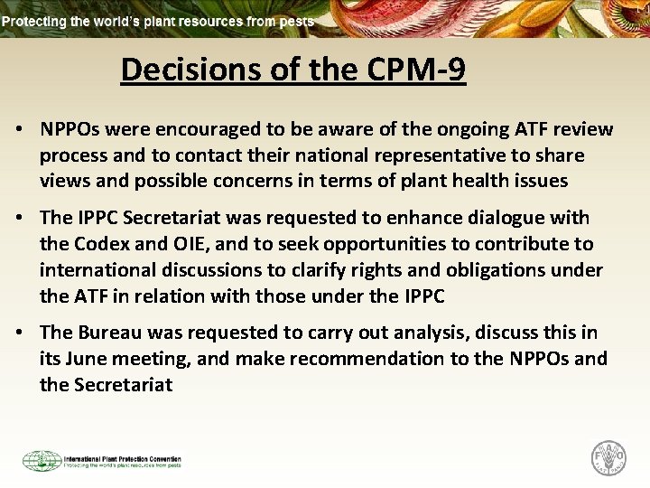 Decisions of the CPM-9 • NPPOs were encouraged to be aware of the ongoing