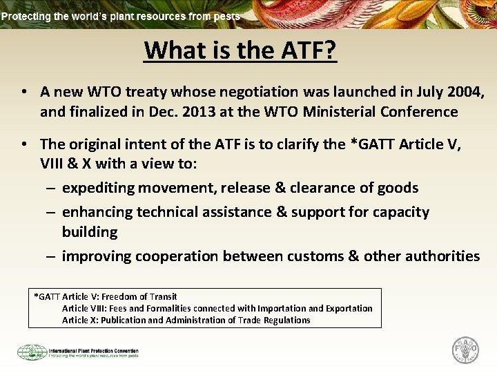 What is the ATF? • A new WTO treaty whose negotiation was launched in