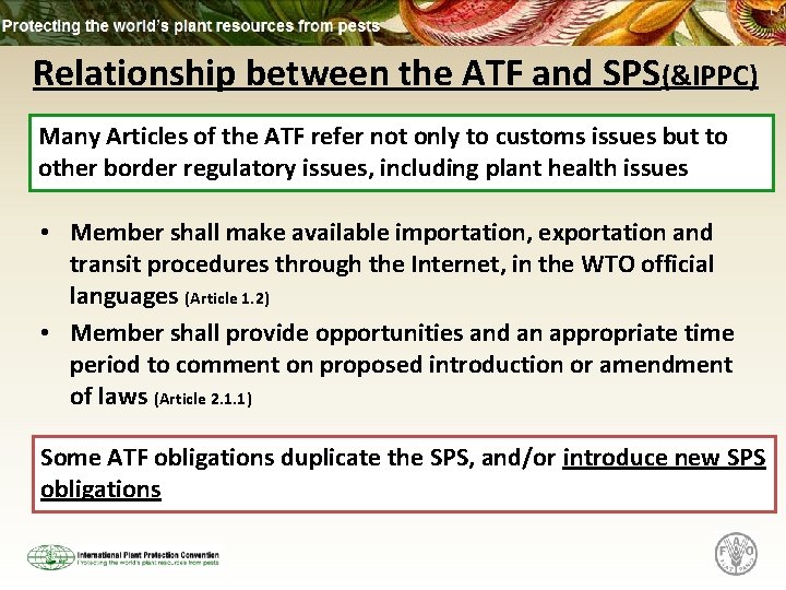Relationship between the ATF and SPS(&IPPC) Many Articles of the ATF refer not only