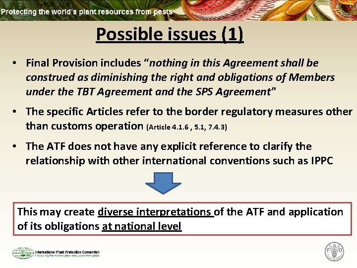 Possible issues (1) • Final Provision includes “nothing in this Agreement shall be construed