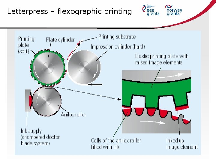 Letterpress – flexographic printing 