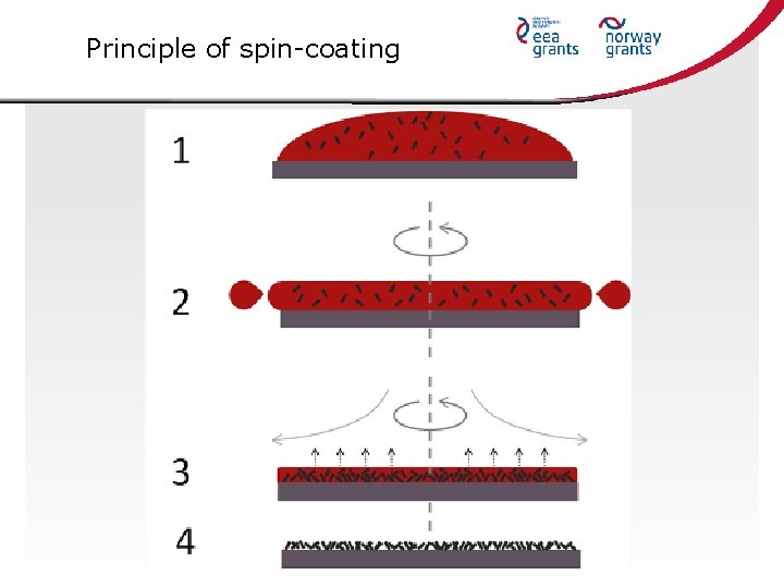 Principle of spin-coating 