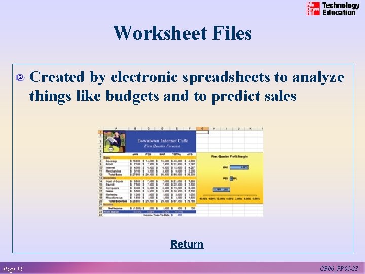 Worksheet Files Created by electronic spreadsheets to analyze things like budgets and to predict