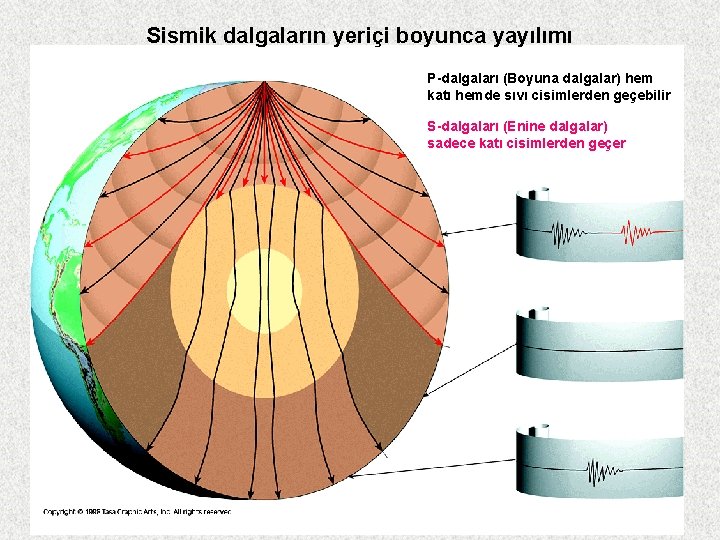 Sismik dalgaların yeriçi boyunca yayılımı P-dalgaları (Boyuna dalgalar) hem katı hemde sıvı cisimlerden geçebilir