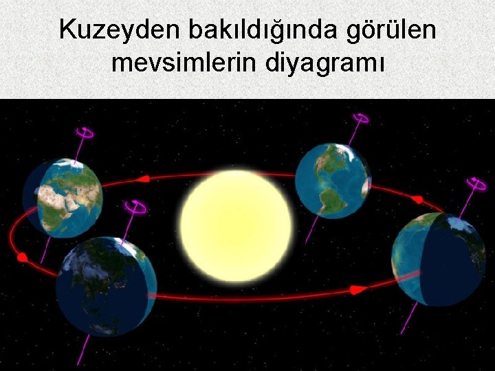 Kuzeyden bakıldığında görülen mevsimlerin diyagramı 