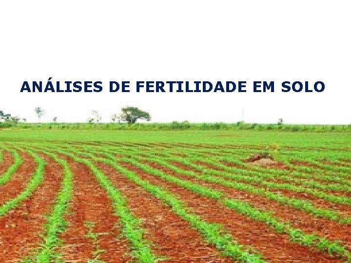 ANÁLISES DE FERTILIDADE EM SOLO Microbiológica da água 