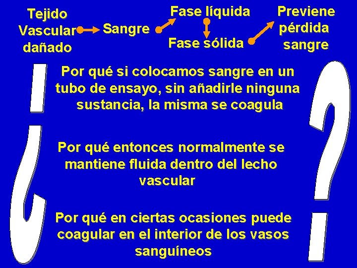 Tejido Vascular dañado Fase líquida Sangre Fase sólida Previene pérdida sangre Por qué si Tejido Vascular dañado Fase líquida Sangre Fase sólida Previene pérdida sangre Por qué si