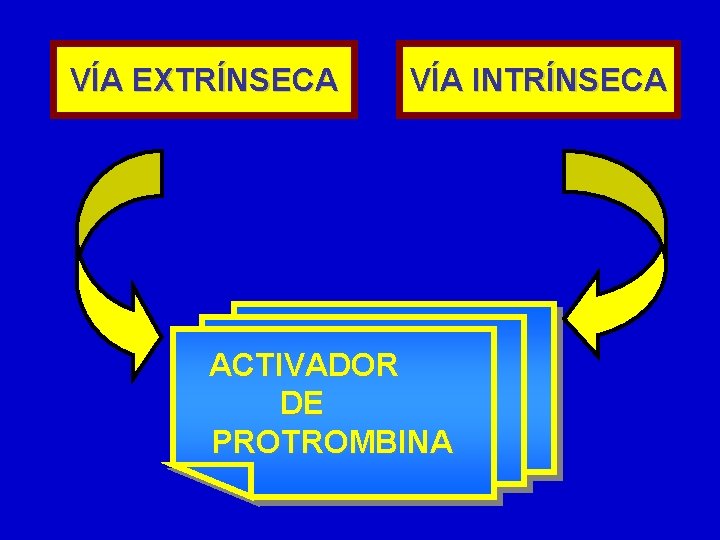 VÍA EXTRÍNSECA VÍA INTRÍNSECA ACTIVADOR DE PROTROMBINA VÍA EXTRÍNSECA VÍA INTRÍNSECA ACTIVADOR DE PROTROMBINA