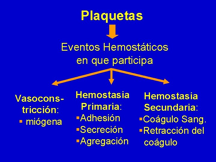 Plaquetas Eventos Hemostáticos en que participa Vasoconstricción: § miógena Hemostasia Primaria: Secundaria: §Adhesión §Coágulo Plaquetas Eventos Hemostáticos en que participa Vasoconstricción: § miógena Hemostasia Primaria: Secundaria: §Adhesión §Coágulo