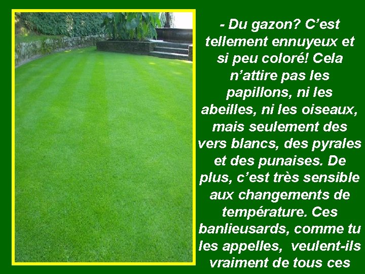 - Du gazon? C’est tellement ennuyeux et si peu coloré! Cela n’attire pas les