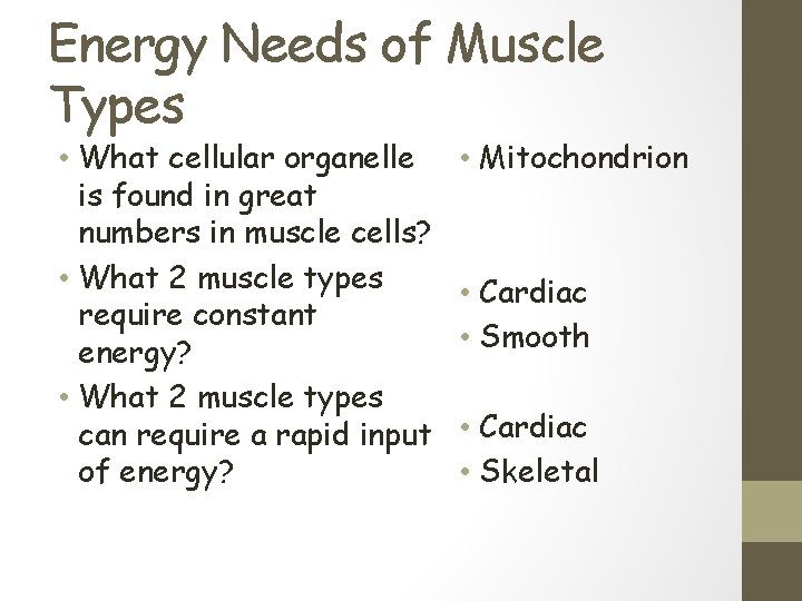 Energy Needs of Muscle Types • What cellular organelle is found in great numbers