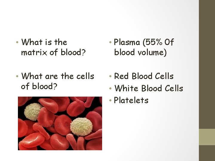  • What is the matrix of blood? • Plasma (55% 0 f blood