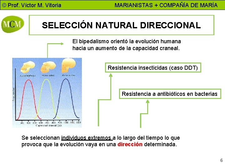 © Prof. Víctor M. Vitoria MARIANISTAS + COMPAÑÍA DE MARÍA SELECCIÓN NATURAL DIRECCIONAL El