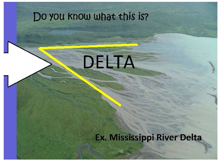 DELTA Ex. Mississippi River Delta 