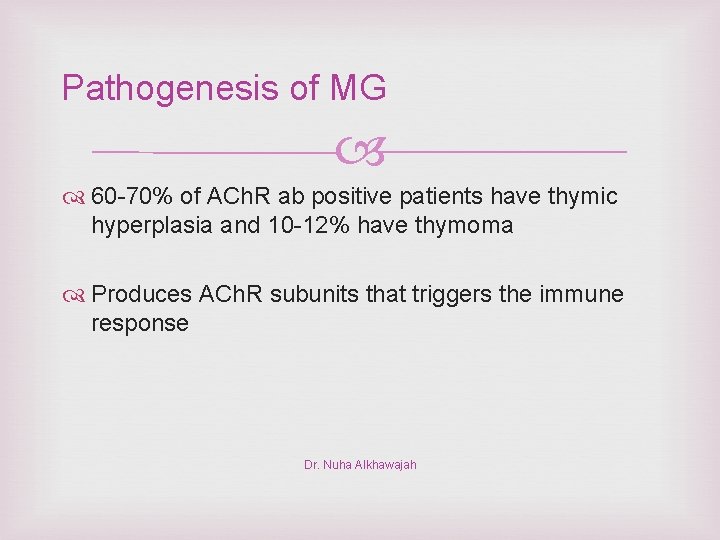 Pathogenesis of MG 60 -70% of ACh. R ab positive patients have thymic hyperplasia