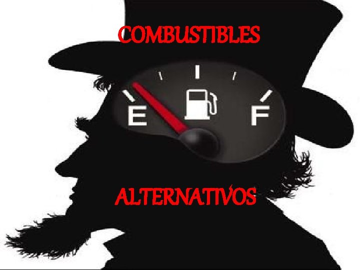 COMBUSTIBLES ALTERNATIVOS 