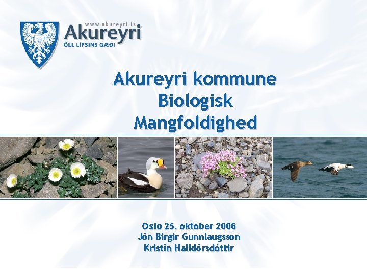 Akureyri kommune Biologisk Mangfoldighed Oslo 25. oktober 2006 Jón Birgir Gunnlaugsson Kristín Halldórsdóttir 