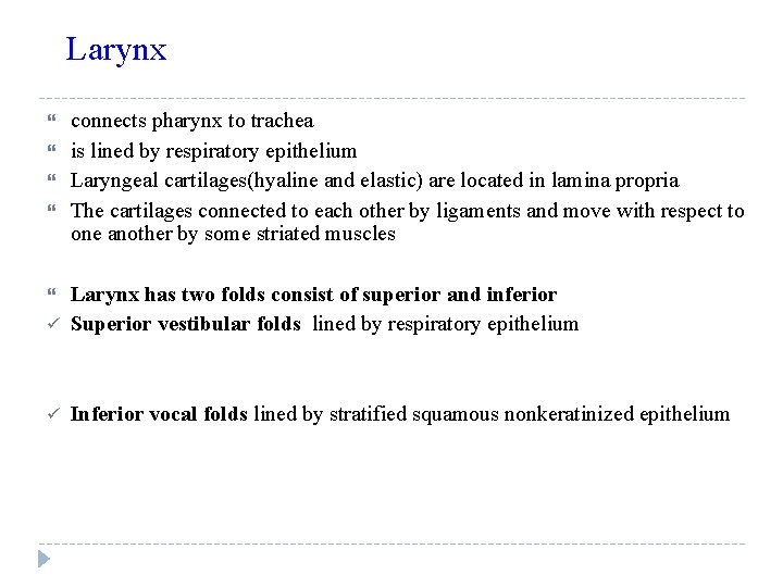 Larynx connects pharynx to trachea is lined by respiratory epithelium Laryngeal cartilages(hyaline and elastic)