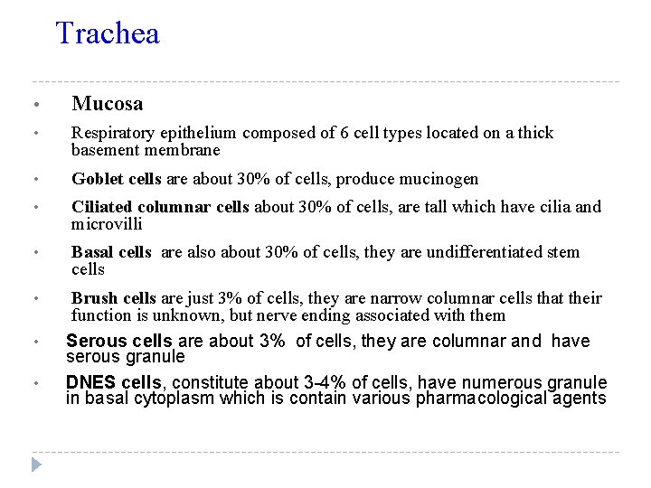 Trachea • Mucosa • Respiratory epithelium composed of 6 cell types located on a