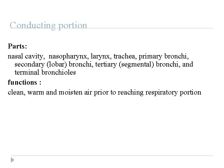 Conducting portion Parts: nasal cavity, nasopharynx, larynx, trachea, primary bronchi, secondary (lobar) bronchi, tertiary