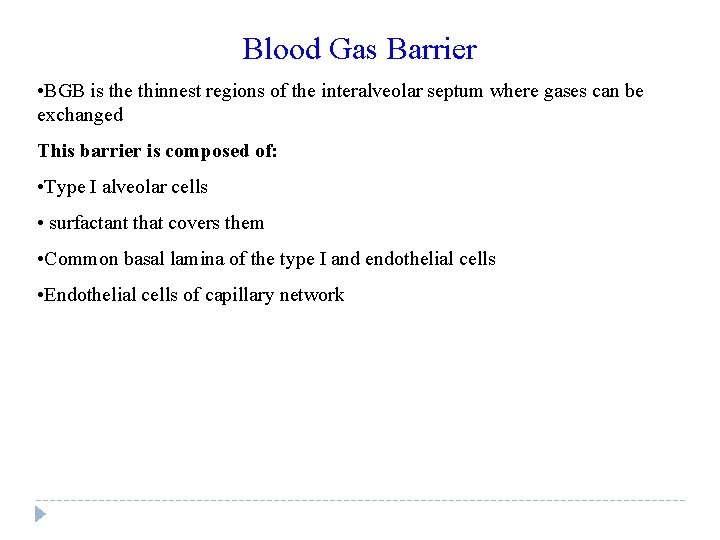 Blood Gas Barrier • BGB is the thinnest regions of the interalveolar septum where