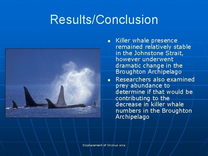 Results/Conclusion n n Killer whale presence remained relatively stable in the Johnstone Strait, however