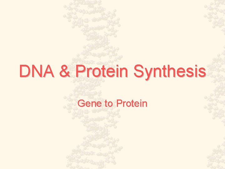 DNA & Protein Synthesis Gene to Protein 