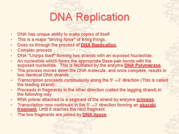 DNA Replication • • • DNA has unique ability to make copies of itself