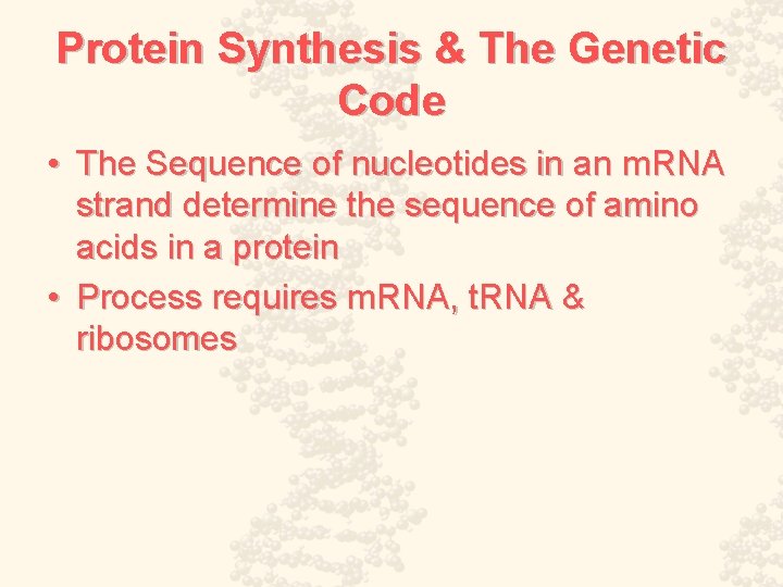 Protein Synthesis & The Genetic Code • The Sequence of nucleotides in an m.